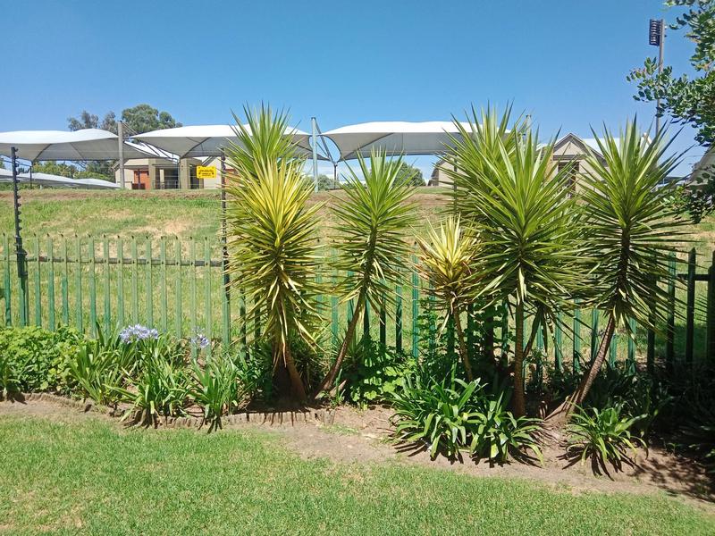 3 Bedroom Property for Sale in Bedford Gardens Gauteng