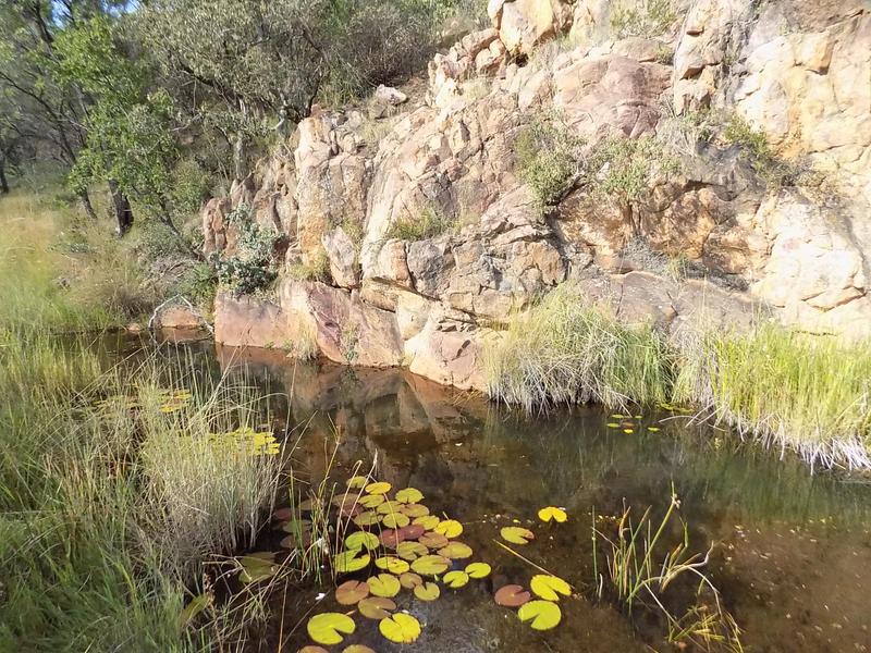 0 Bedroom Property for Sale in Pretoria Gauteng