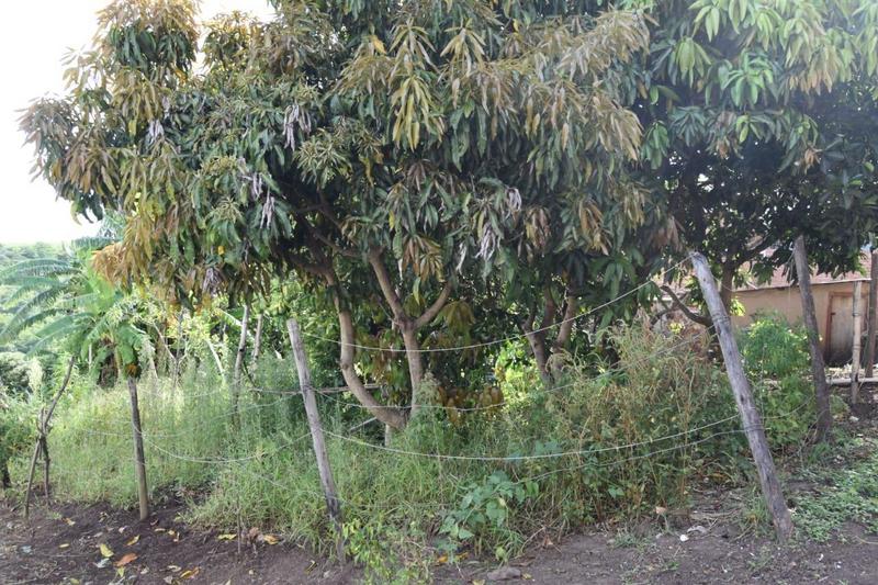 3 Bedroom Property for Sale in Umzinto KwaZulu-Natal