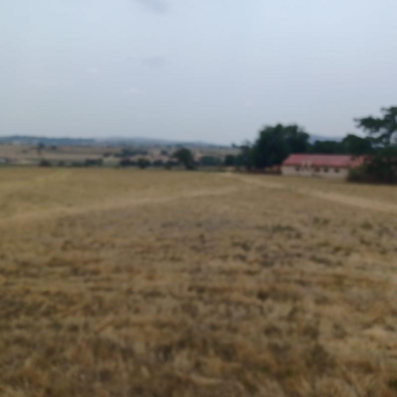 0 Bedroom Property for Sale in Rietfontein Gauteng