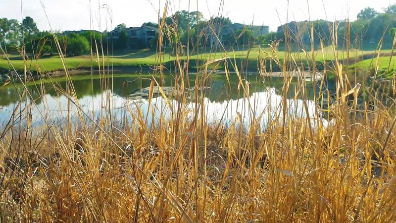 3 Bedroom Property for Sale in Jackal Creek Golf Estate Gauteng