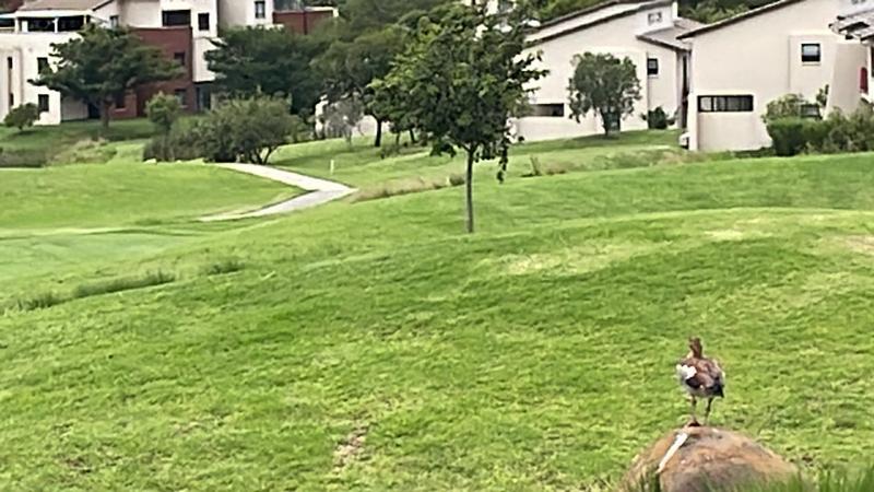 3 Bedroom Property for Sale in Jackal Creek Golf Estate Gauteng