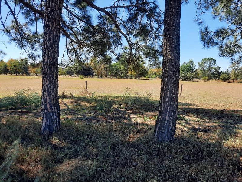 0 Bedroom Property for Sale in Henley on Klip Gauteng