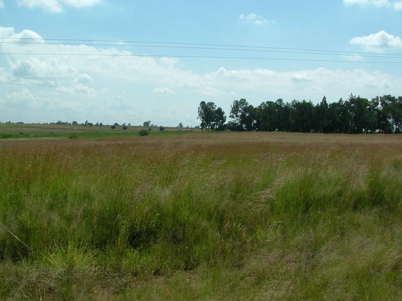 0 Bedroom Property for Sale in Three Rivers Gauteng