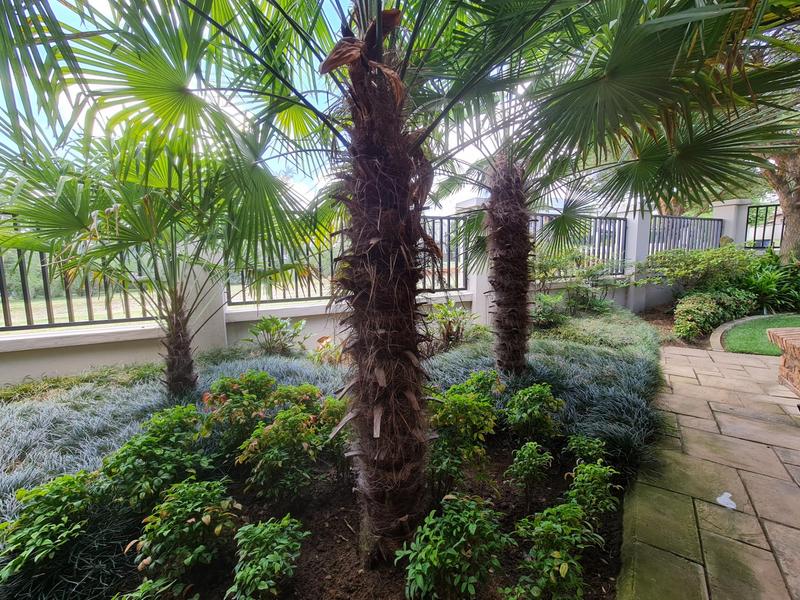 5 Bedroom Property for Sale in Midlands Estate Gauteng