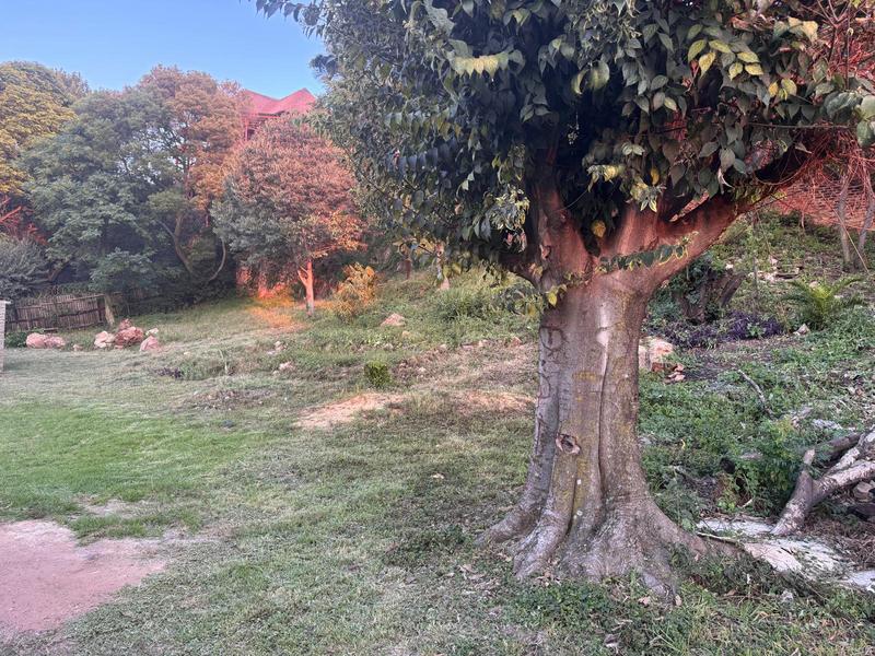 0 Bedroom Property for Sale in Kensington Gauteng