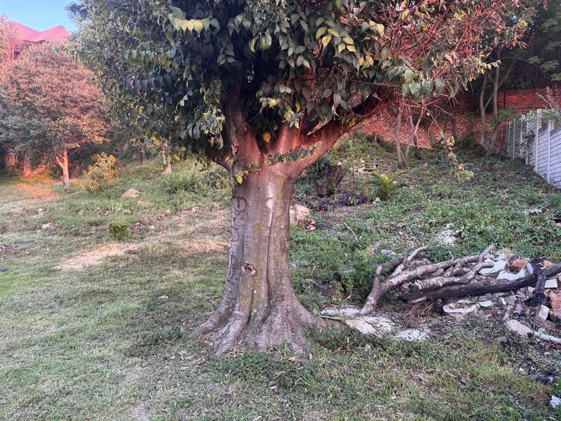 0 Bedroom Property for Sale in Kensington Gauteng