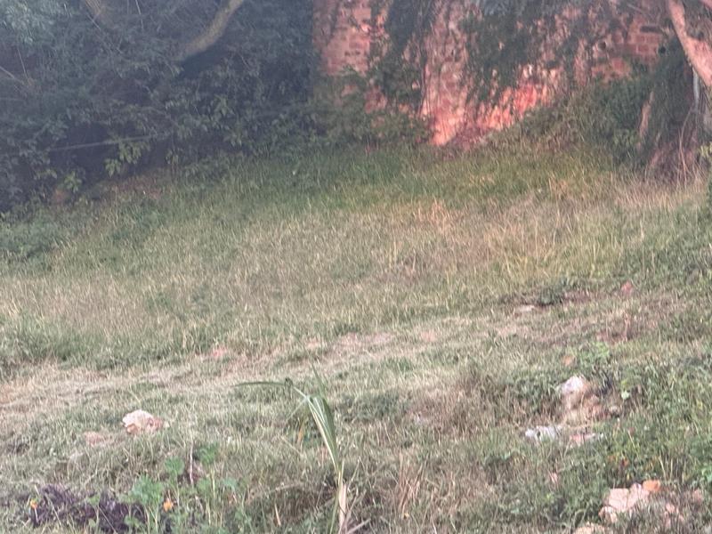 0 Bedroom Property for Sale in Kensington Gauteng