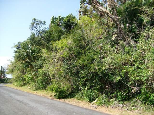 Commercial Property for Sale in Trafalgar KwaZulu-Natal