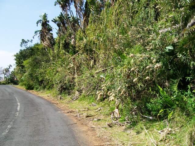 Commercial Property for Sale in Trafalgar KwaZulu-Natal