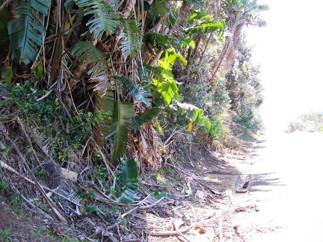 Commercial Property for Sale in Trafalgar KwaZulu-Natal