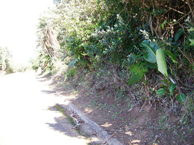 Commercial Property for Sale in Trafalgar KwaZulu-Natal