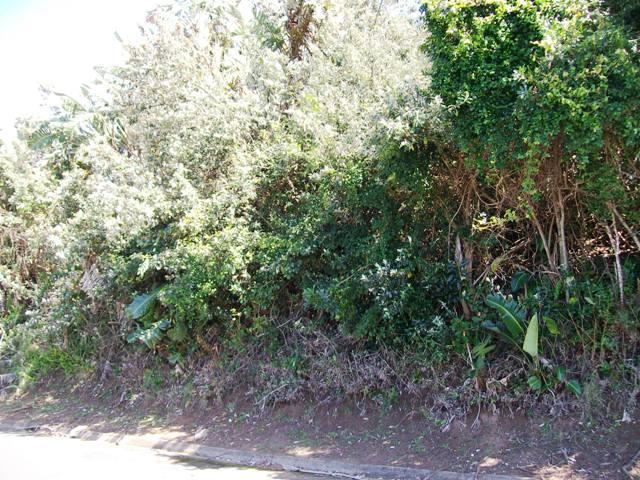 Commercial Property for Sale in Trafalgar KwaZulu-Natal