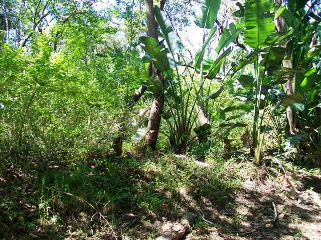 Commercial Property for Sale in Trafalgar KwaZulu-Natal