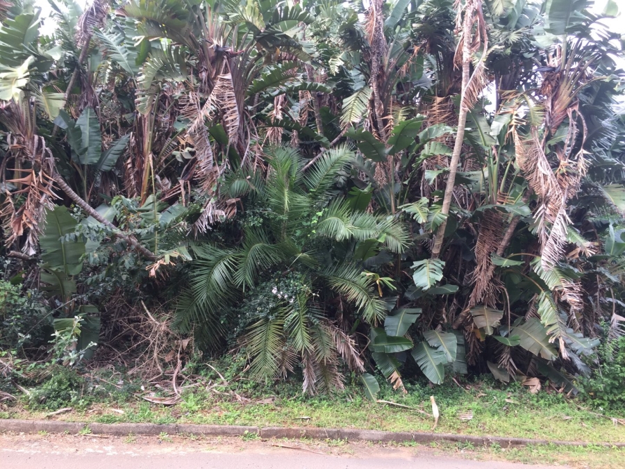 Commercial Property for Sale in Ramsgate KwaZulu-Natal