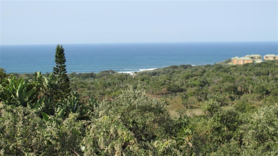 Commercial Property for Sale in Trafalgar KwaZulu-Natal