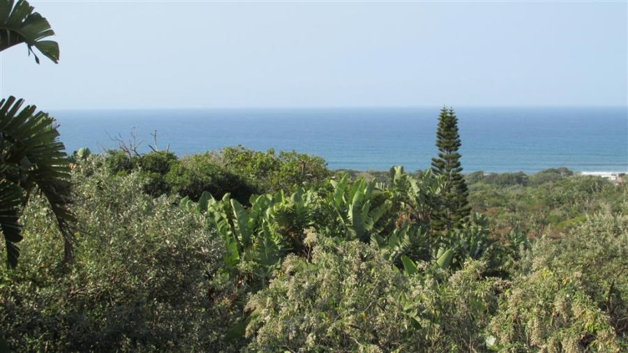 Commercial Property for Sale in Trafalgar KwaZulu-Natal