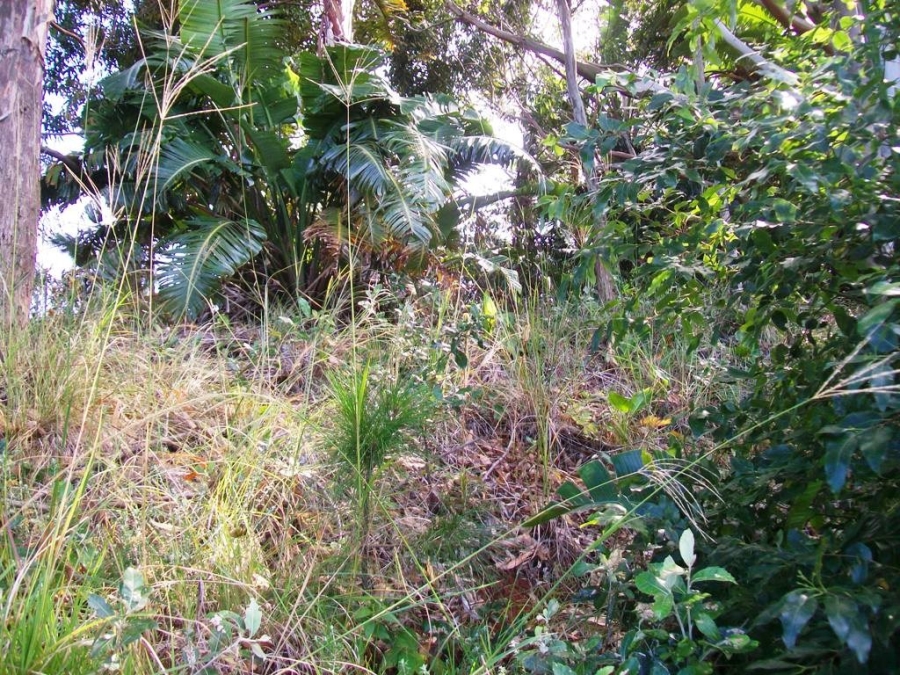 Commercial Property for Sale in Trafalgar KwaZulu-Natal