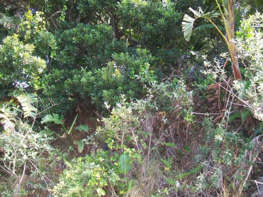 Commercial Property for Sale in Trafalgar KwaZulu-Natal