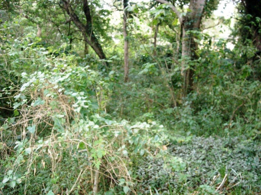 Commercial Property for Sale in Southport KwaZulu-Natal