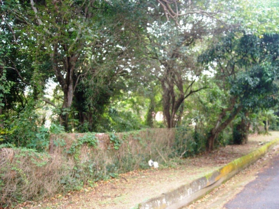 Commercial Property for Sale in Southport KwaZulu-Natal