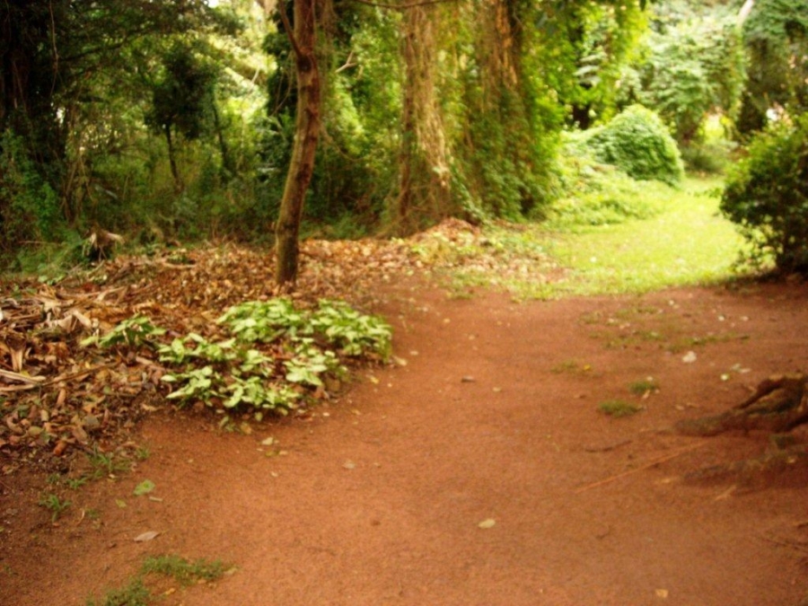 Commercial Property for Sale in Southport KwaZulu-Natal