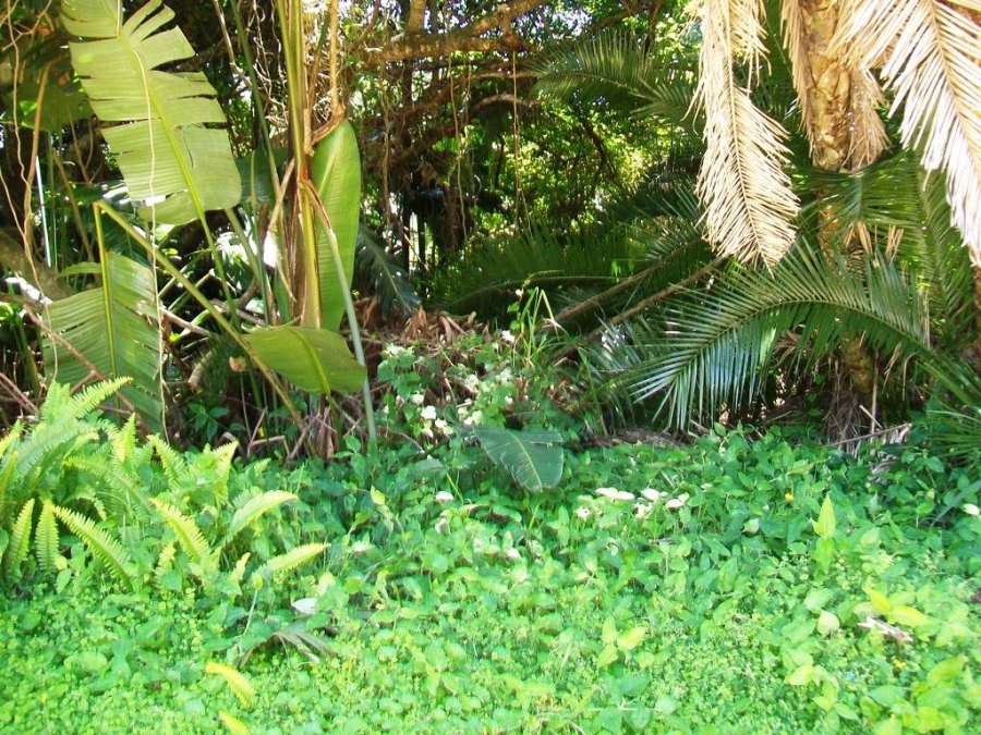 Commercial Property for Sale in Palm Beach KwaZulu-Natal