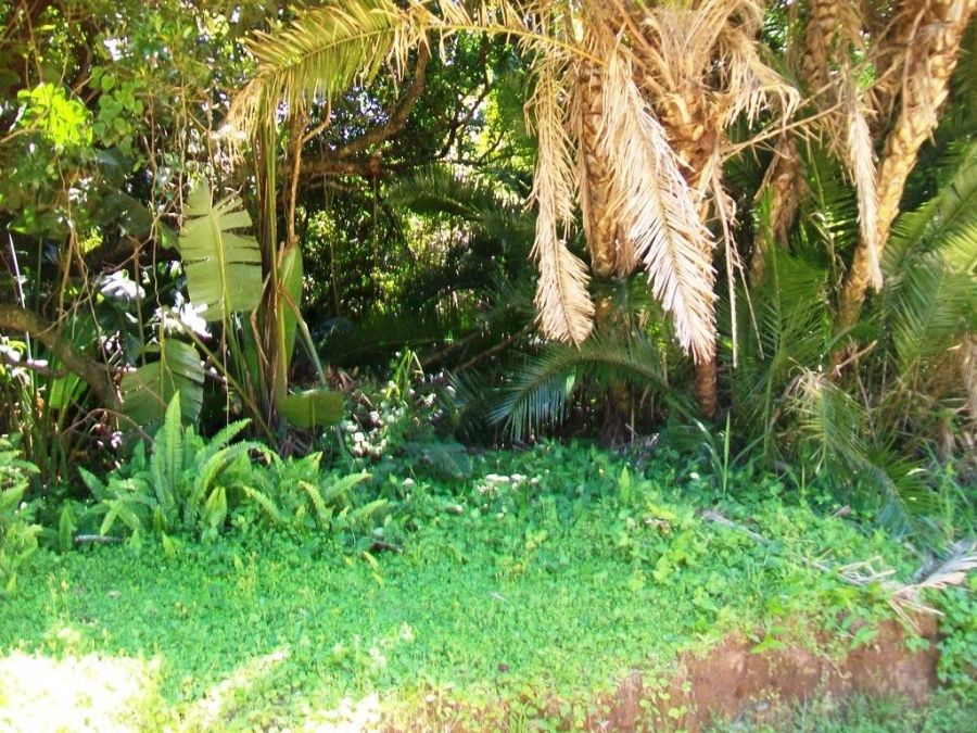Commercial Property for Sale in Palm Beach KwaZulu-Natal