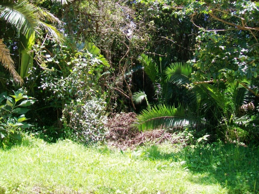 Commercial Property for Sale in Palm Beach KwaZulu-Natal