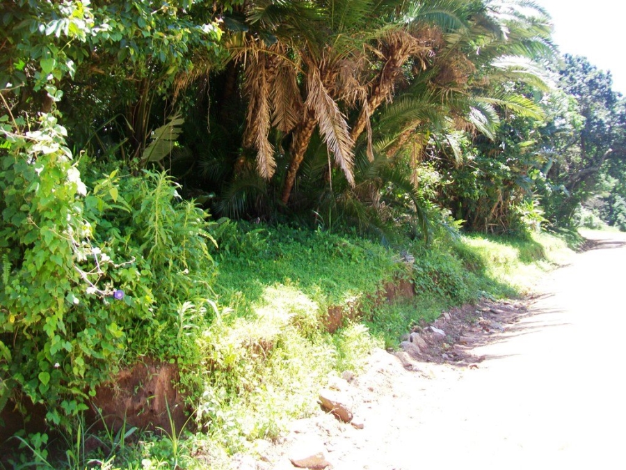 Commercial Property for Sale in Palm Beach KwaZulu-Natal