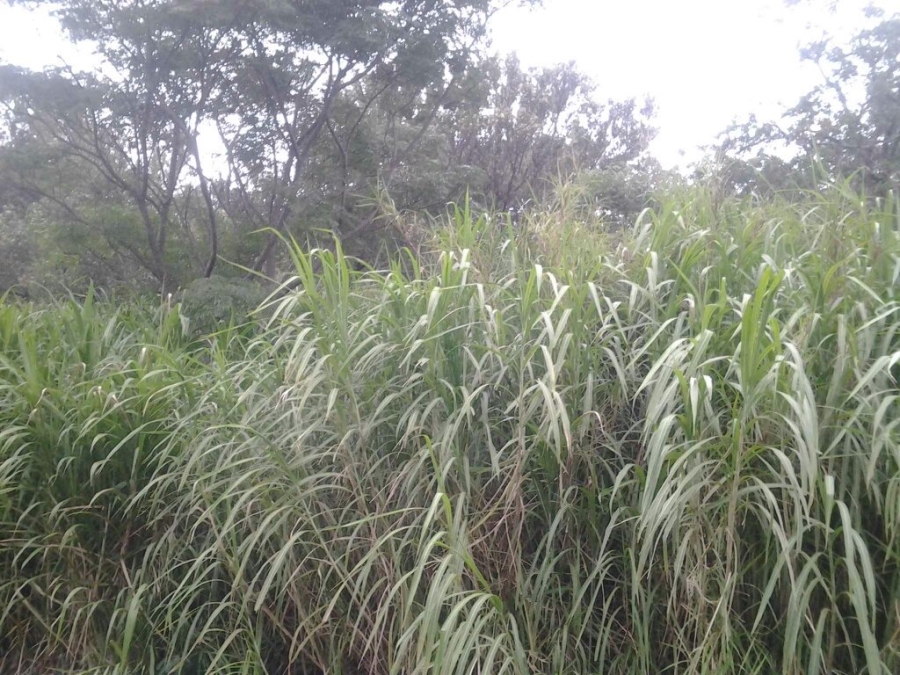Commercial Property for Sale in Umtentweni KwaZulu-Natal