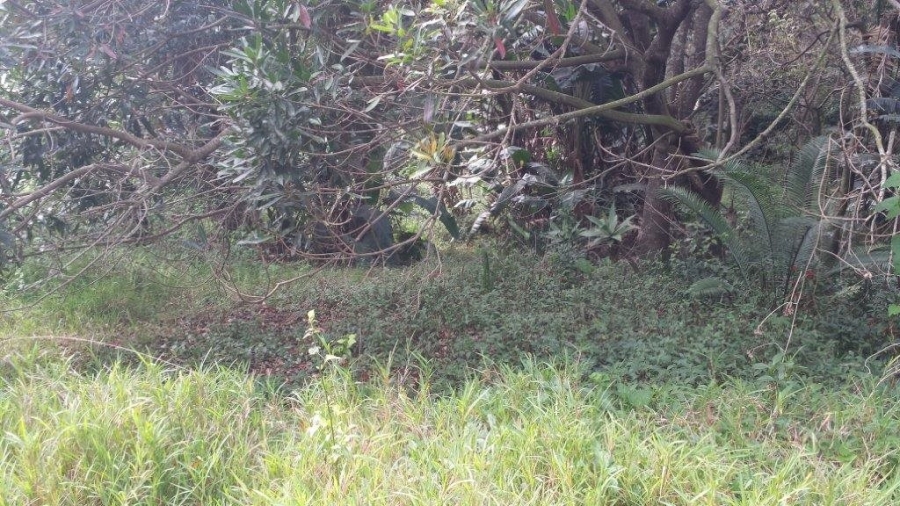 Commercial Property for Sale in Pumula KwaZulu-Natal