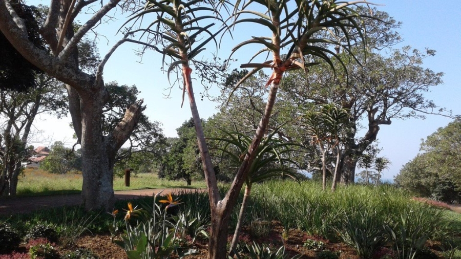 Commercial Property for Sale in Leisure Bay KwaZulu-Natal