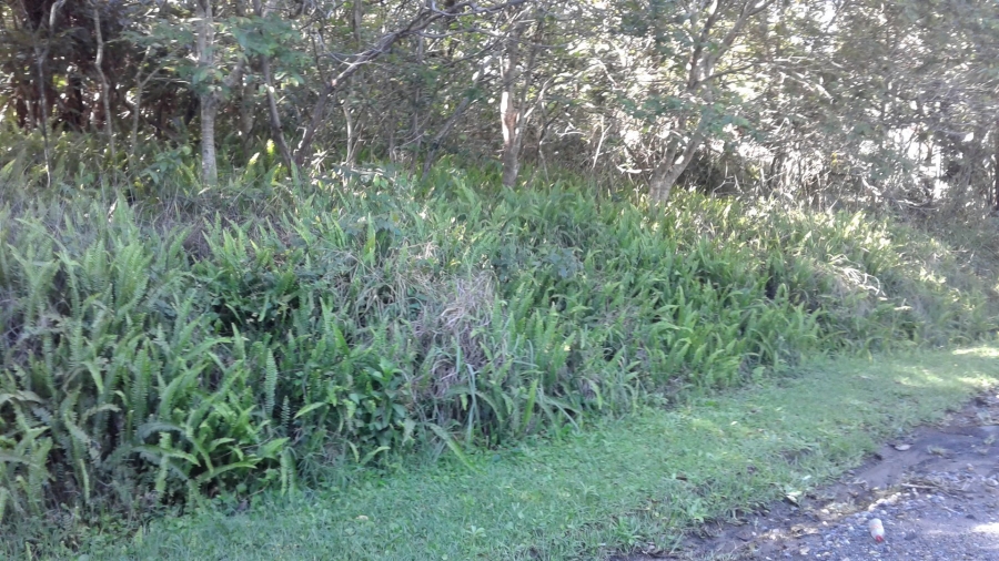 Commercial Property for Sale in Southbroom KwaZulu-Natal