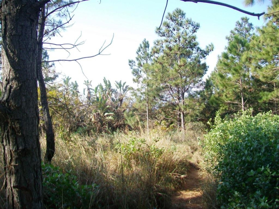 Commercial Property for Sale in Palm Beach KwaZulu-Natal