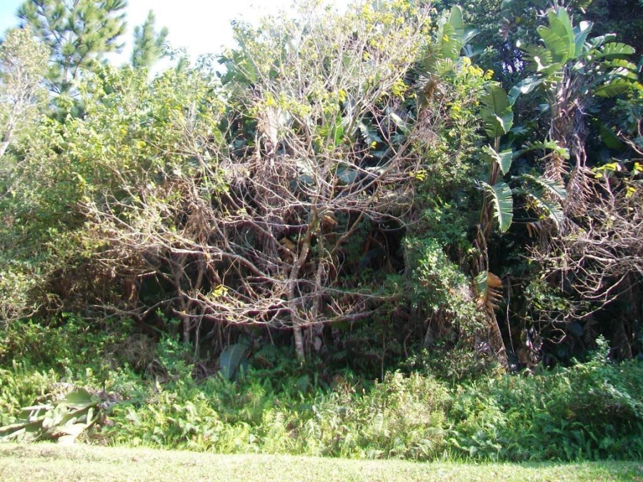 Commercial Property for Sale in Palm Beach KwaZulu-Natal