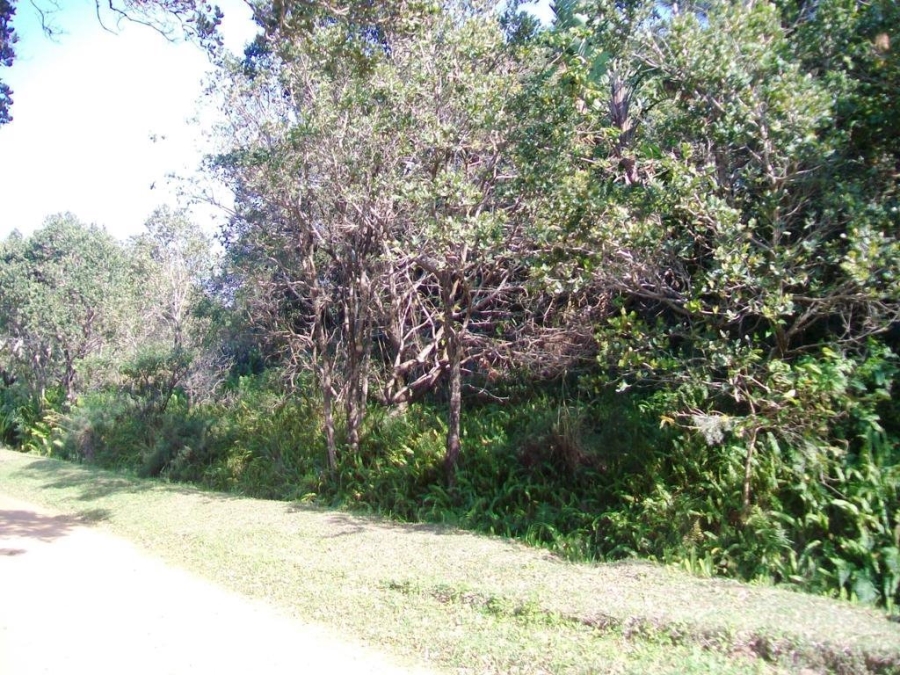 Commercial Property for Sale in Palm Beach KwaZulu-Natal