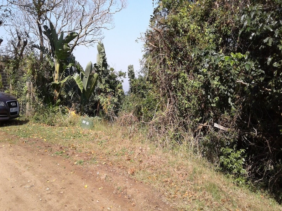 Commercial Property for Sale in Southbroom KwaZulu-Natal