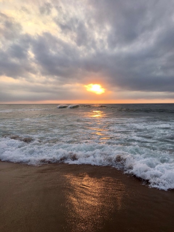 4 Bedroom Property for Sale in Zinkwazi Beach KwaZulu-Natal