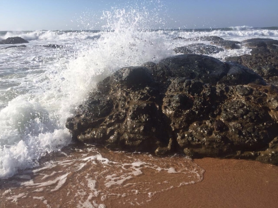 4 Bedroom Property for Sale in Zinkwazi Beach KwaZulu-Natal