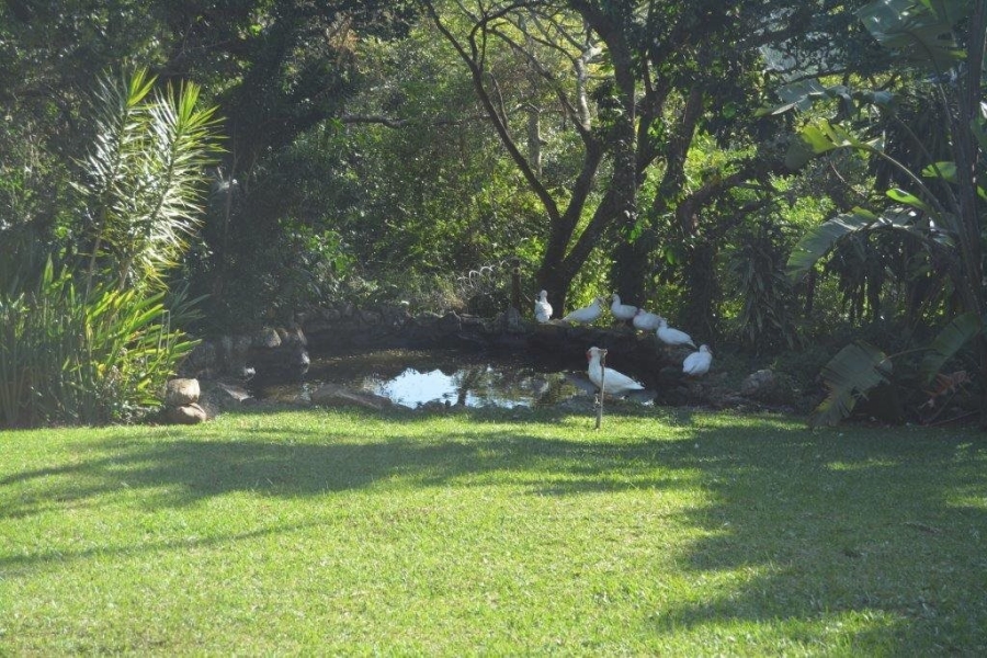 Commercial Property for Sale in Margate KwaZulu-Natal