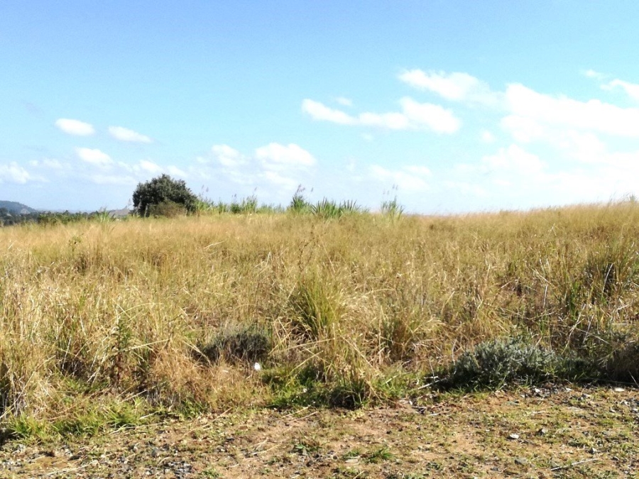 Commercial Property for Sale in Shelly Beach KwaZulu-Natal
