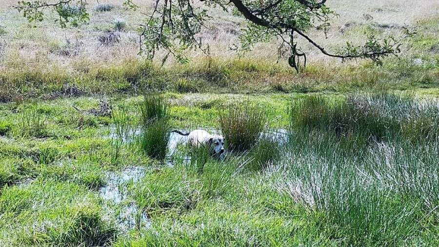 Commercial Property for Sale in Muden KwaZulu-Natal