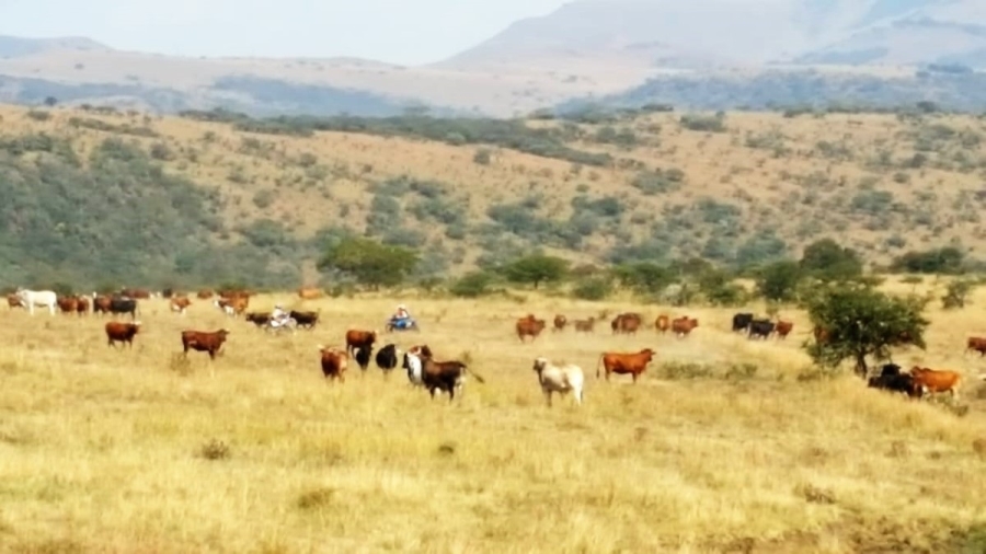 Commercial Property for Sale in Muden KwaZulu-Natal