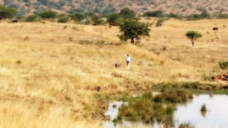 Commercial Property for Sale in Muden KwaZulu-Natal