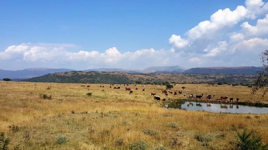 Commercial Property for Sale in Muden KwaZulu-Natal