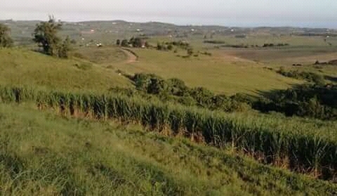 0 Bedroom Property for Sale in Mandeni KwaZulu-Natal