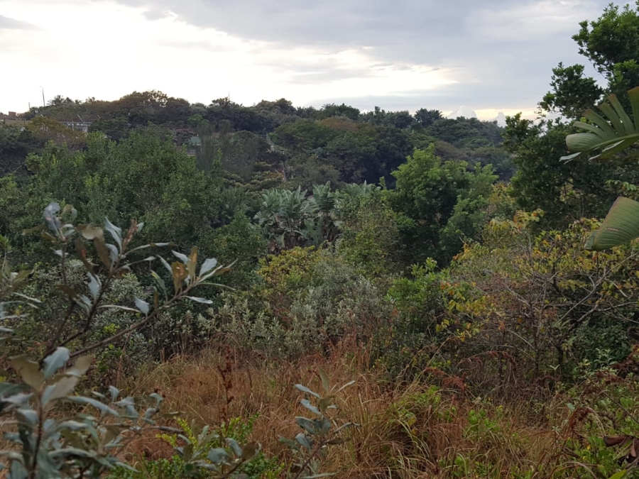 Commercial Property for Sale in Hibberdene KwaZulu-Natal
