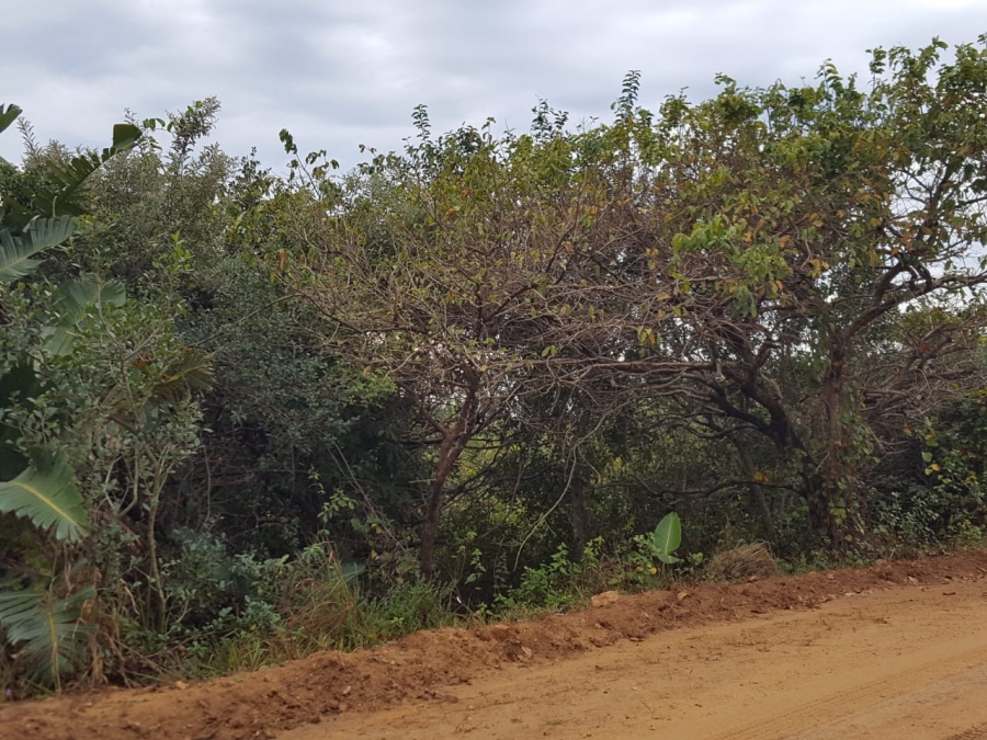 Commercial Property for Sale in Hibberdene KwaZulu-Natal
