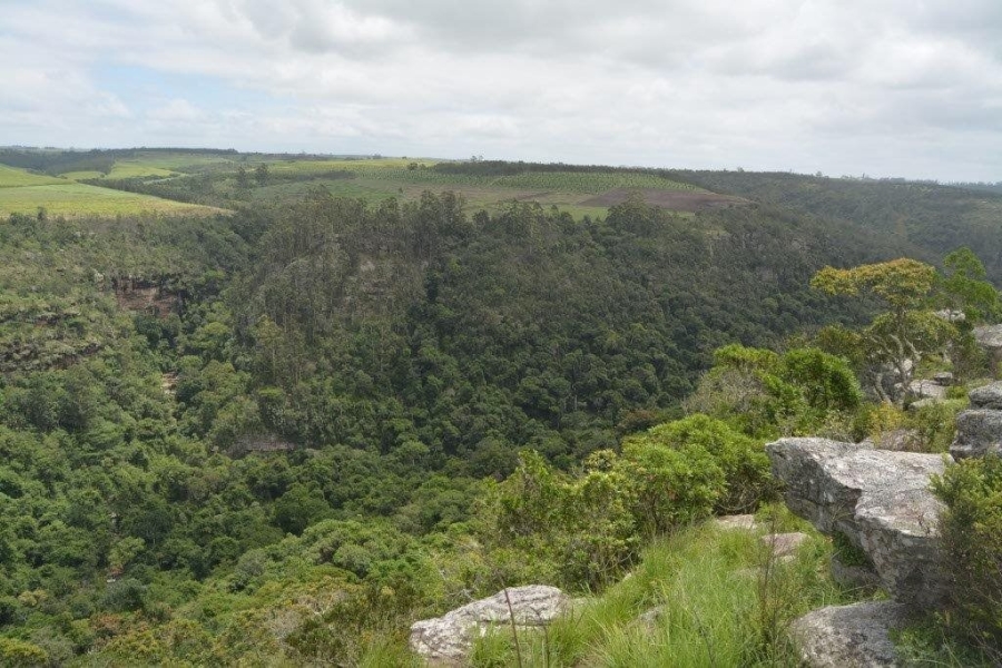 Commercial Property for Sale in Paddock KwaZulu-Natal